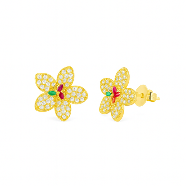 Hoops Flower Rainbow (Coppia)